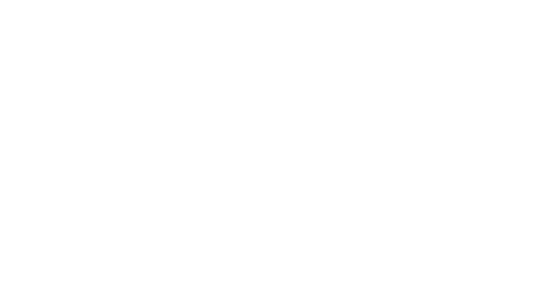 Sir Meat Burger Joint